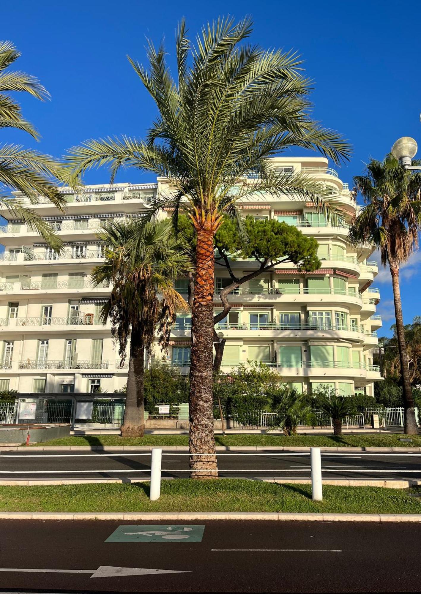 Nice 115 By The Sea Bagian luar foto